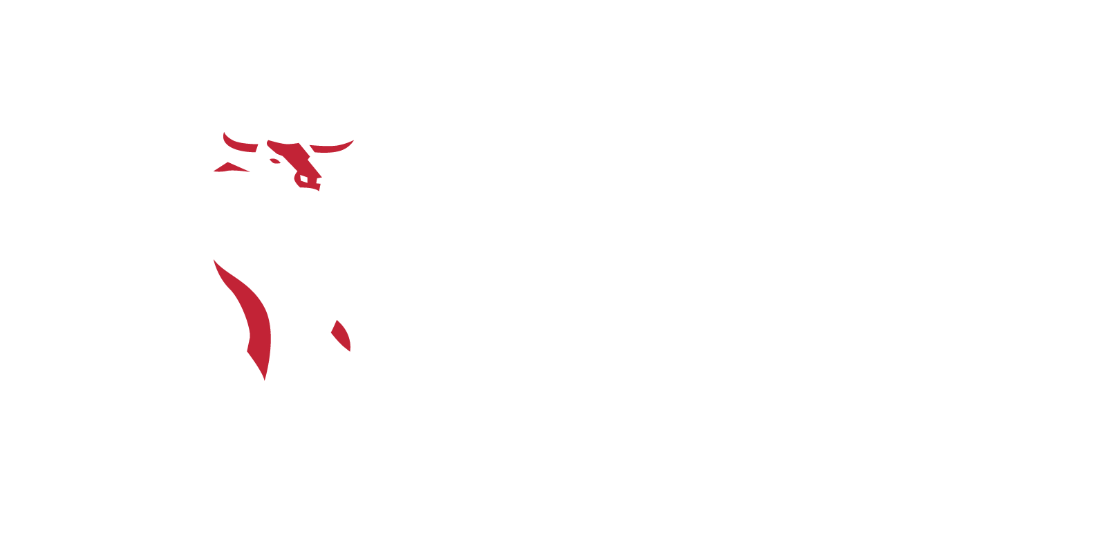 transparent logo
